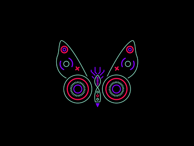 Bugs Night bug butterfly fluo illustration insects neon night pattern