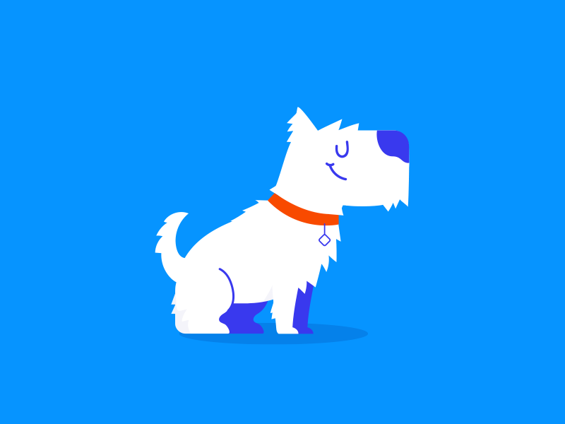 Good Boy by Faze design studio on Dribbble