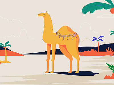 Camel in Morocco animal camel character design dessert illustration legs morocco palm tree plant zoo