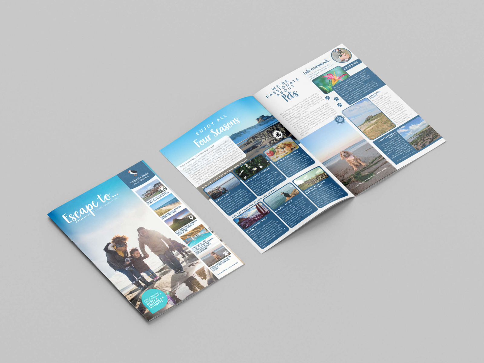 Amble Links Brochure by SianOwen on Dribbble