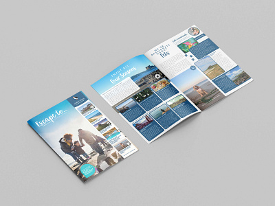 Amble Links Brochure