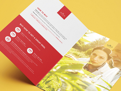 Avila Herbals adobe branding brochure design cbd design graphic design indesign leaflet design