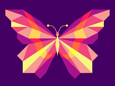 Butterfly #DAY5 #100DAYSWITHILLUSTRATOR 3d design graphic design illustration vector