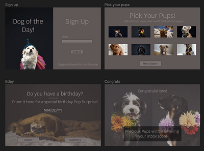 Dog of the Day! design puppies ui