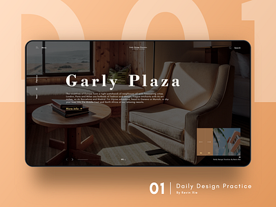 Daily Design Practice 01 design web