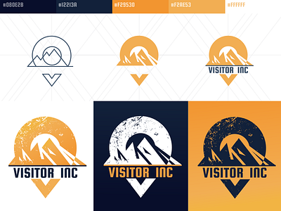 Logo Visitor