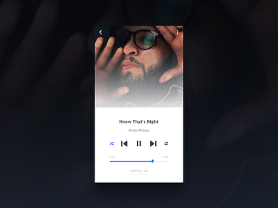 Music Player Concept