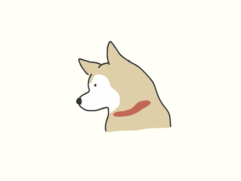 shibainu 100daysmotion animate animation daily100 design frame by frame gif illustration motion motion animation motion graphic shiba shibainu vector