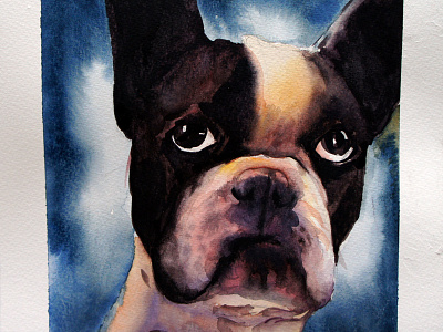 French Bulldog bull bulldog dog illustration watercolor