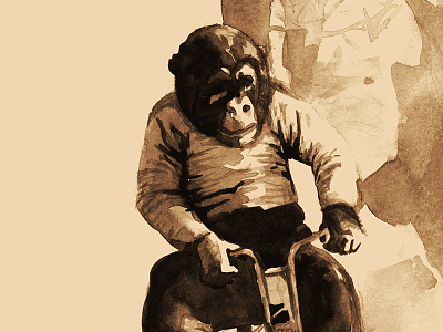 Monkey on the Bicycle