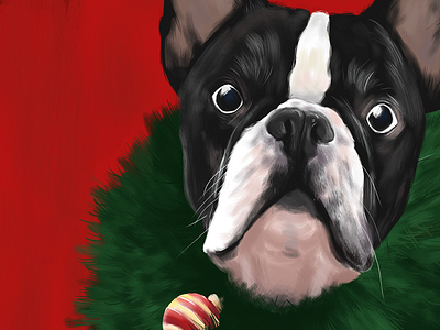 Beatriz, the Christmas Bulldog bulldog christmas digital french frenchie illustration red