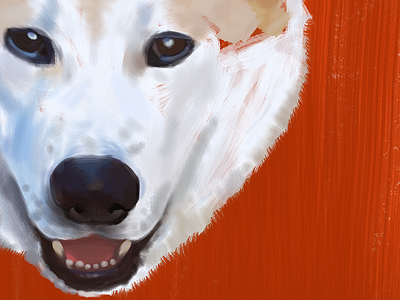 Coronel akita brush digital dog illustration orange photoshop