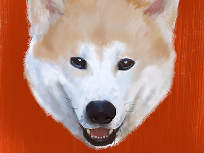 Coronel Final akita brush digital dog illustration orange photoshop