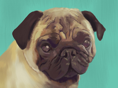 PUG! cachorro dog dogs green mint pug pugs