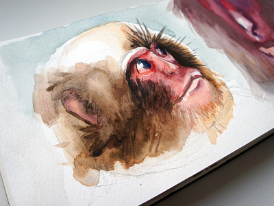 Monkey color illustration monkey water watercolor