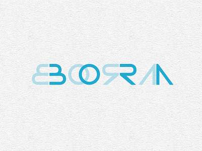 BoraBora concept bora concept logo logo design typo