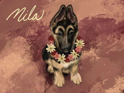 Mila dog flowers german shepherd illustration illustrator pets procreate puppies puppy