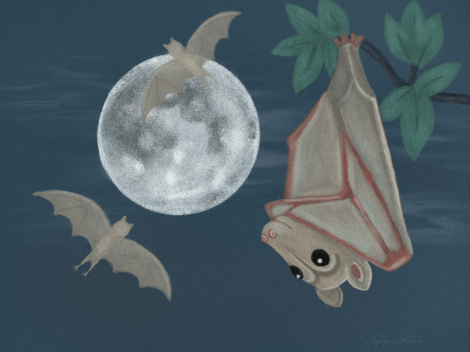 Gettin' Batty animals animation animator bat illustration illustrator procreate