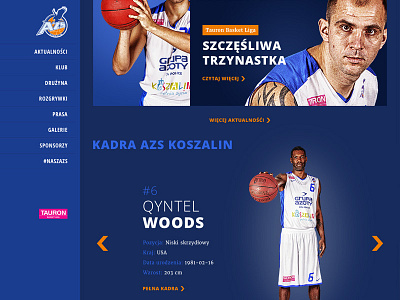 Basketball Team Website - News & Profile basketball news poland profile sport team ui website