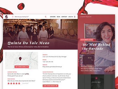 Profile Page - Wine Directory directory grid magazine poland profile sommelier tiles ui ux web wine wip