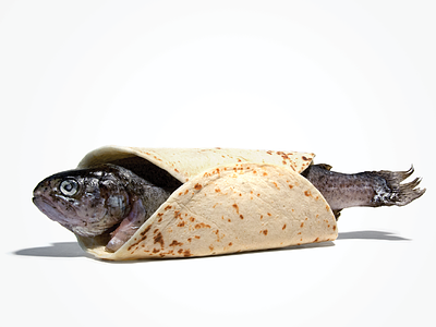 Fish Taco advertising conceptual fish photography print smelly student taco