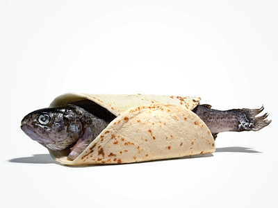 Fish Taco