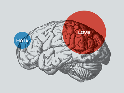 Love Vs. Hate Poster anatomical brain brains hate love poster