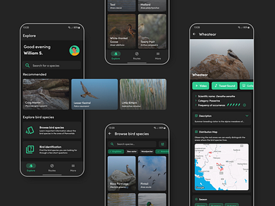 Birding application | UI Design android application birding darkmode desing education greece ios mobile nature ui ux