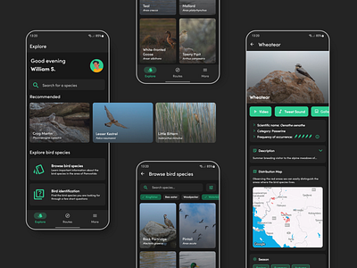 Birding application | UI Design