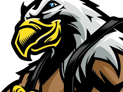 Power Eagle black belt eagle jiu jitsu patriotic power strength