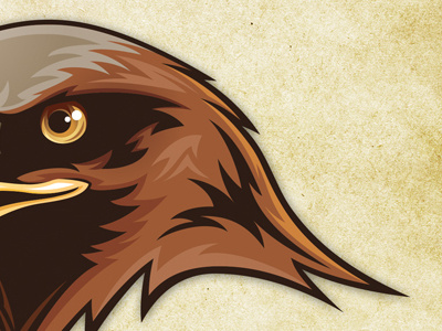 Hawk Head bird bird of prey hawk head illustrator