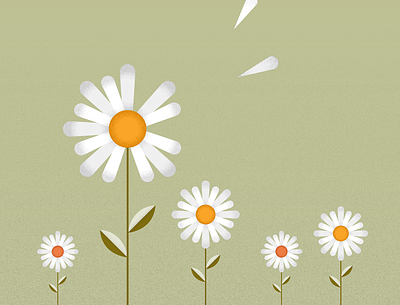 Daisies adobe illustrator design drawing floral flowers graphic design icons illustrator