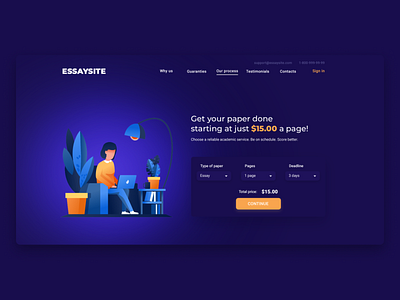 Essay landing page concept