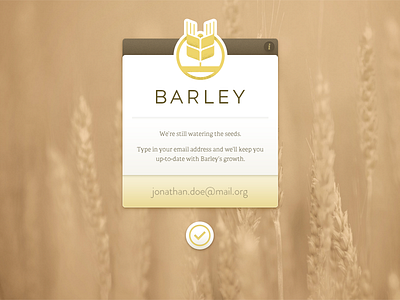 Barley Tease adelle barley brandon grotesque coming soon web web design