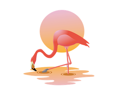 flamingos graphic design illustration