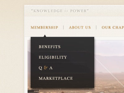 Knowledge is Power drop down light and dark navigation orange peach website