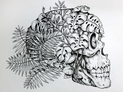 Skulleaf leafs nature plants skull