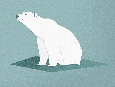 Polar Bear bear design illustration polar polarbear