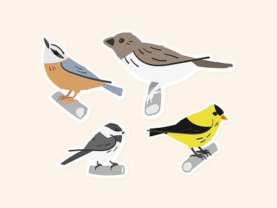 Song Birds bird birds chickadee design goldfinch illustration nuthatch song birds sparrow vector