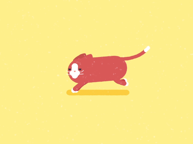Cat Run 2d after effects animation branding cat cat run character character animation colors cycle design flat gif illustration loop motion noise run shape layers vector