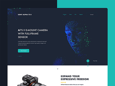 Sony Alpha 7S II Website Concept colors dark design layout redesign sony ui ux website