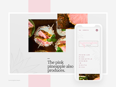 Hummingbird Dream color design fruits type typography ui ux visual web website