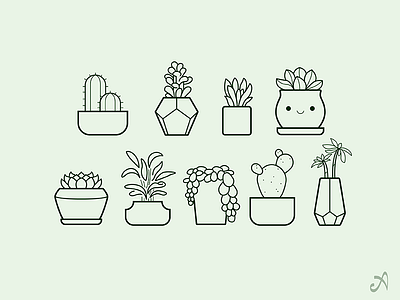 Succulent Showcase cacti cactus cute icons planters plants succulent succulents vector