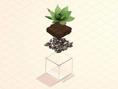 Isometric Terrarium Exercise 3d c4d cgi cinema 4d isometric plant succulent terrarium