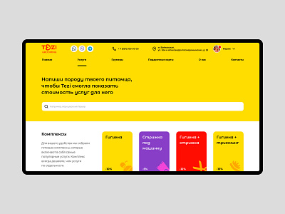 Tezi Grooming adobe xd card grooming illustration product page search tezi ui ux web webdesign