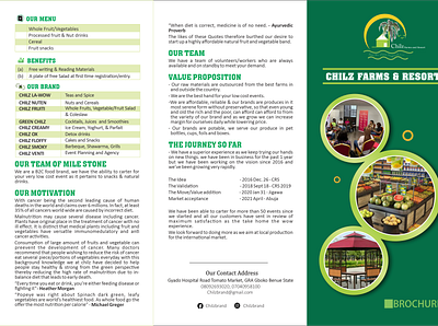 Trifold Brochure Design design