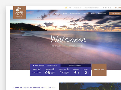 Web design for a Resort Company in the Caribbean design digital design ux uxui web web design website