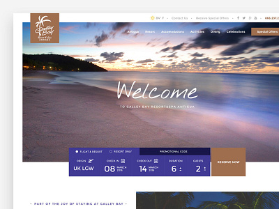 Web design for a Resort Company in the Caribbean