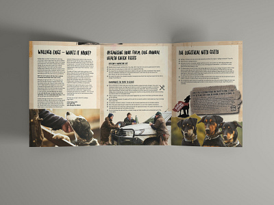 Trifold Brochure A4 - Animal Health Project