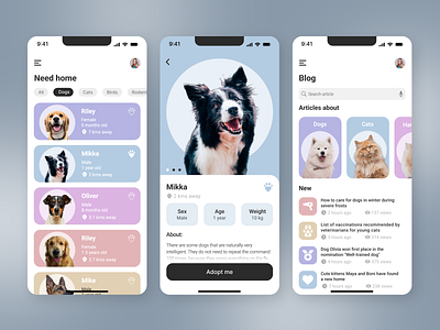 Animal Shelter mobile app animals app cats concept design dogs mobile design pet pet adopt shelter ui ux